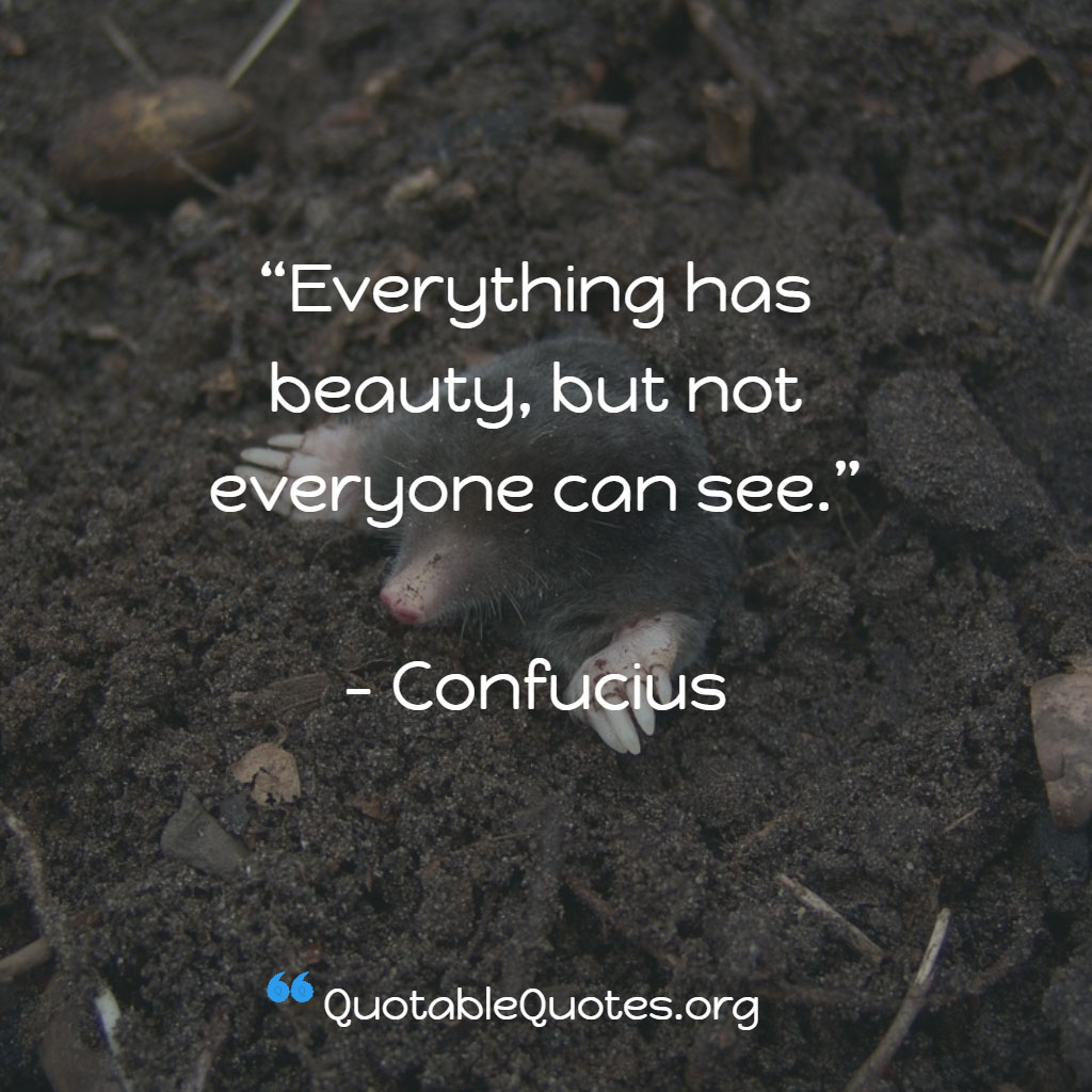Confucious says Everything has beauty, but not everyone can see.