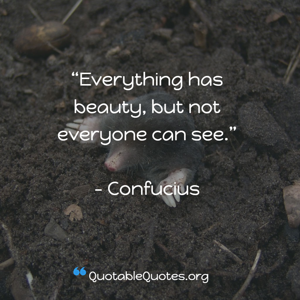 Confucious says Everything has beauty, but not everyone can see. Confucious says Everything has beauty, but not everyone can see.